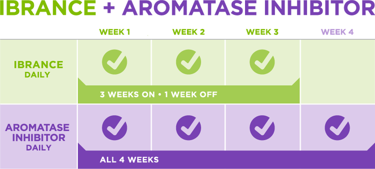 Aromatase inhibitor combination dosing Aromatase inhibitor combination dosing